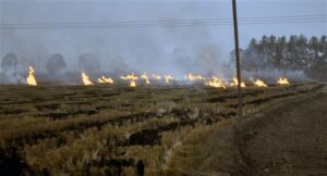 Farmers adamant to burn stubble without financial aid