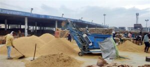 Punjab has begun procuring paddy