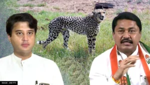 He is mocked for confusing Nigeria and Namibia by linking Lumpy Virus to arrival of cheetahs in MP