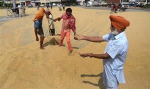Check on paddy inflows from other states with 12 flying squads