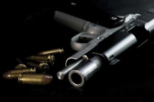Ban on gun-glorifying songs in Punjab; arms licenses to be reviewed