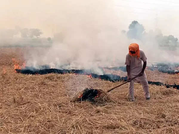 Punjab Stubble burning: Bhagwant Mann govt reverses order to mark red entry in land records